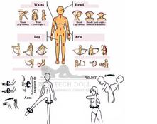 IronTech New Arrival TPE female adult love sex doll full size silicone dolls with big ass produced by automatic woman